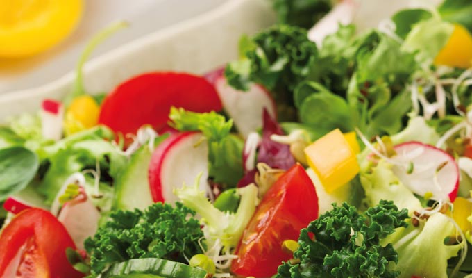 Mittags-Salat